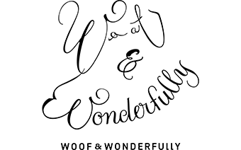 Brand logo 1